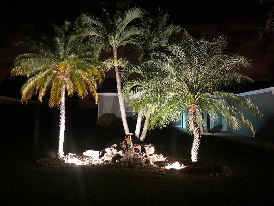 Landscape LED Light Service